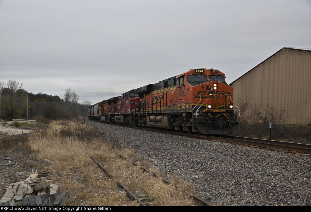 BNSF 6603 Roster